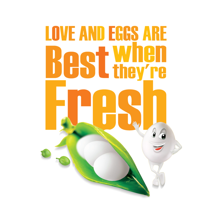 Top egg suppliers Kochi